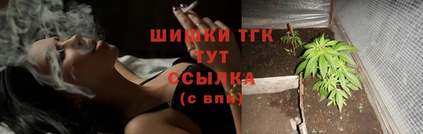 apvp Богданович