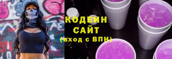 крисы Богородицк