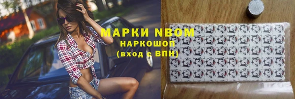 крисы Богородицк
