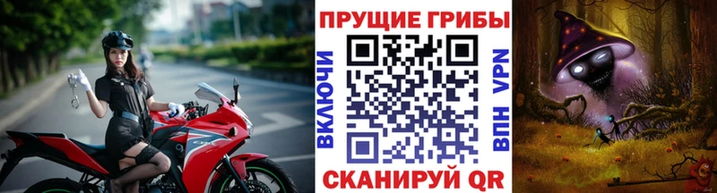 где продают Бор это телеграм Псилоцибиновые грибы GOLDEN TEACHER